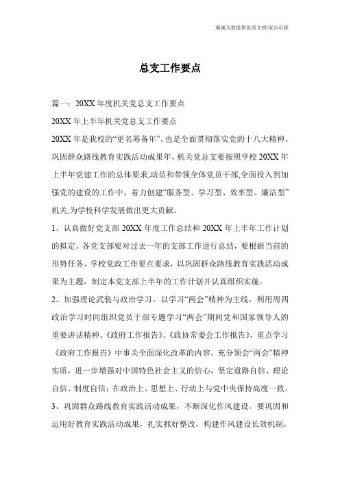总支工作要点