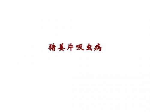 猪姜片吸虫病