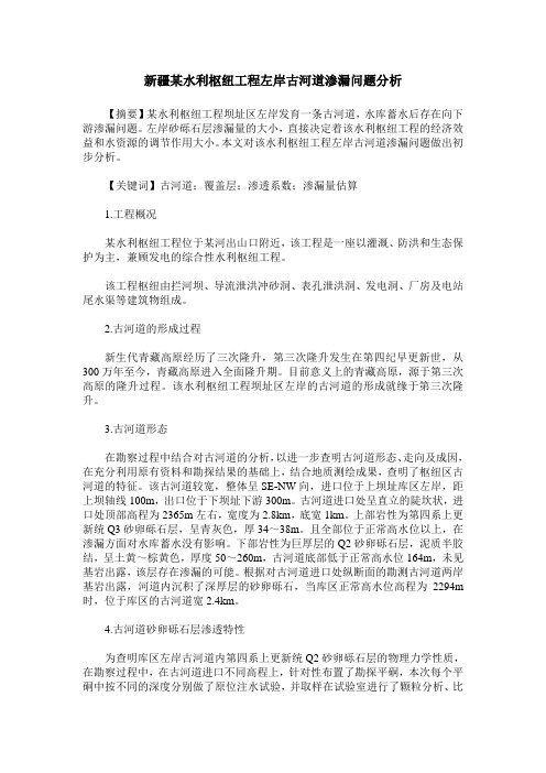 新疆某水利枢纽工程左岸古河道渗漏问题分析