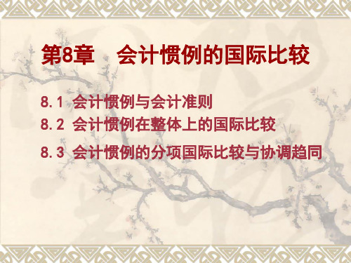 第八章  会计惯例的国际比较(国际会计)