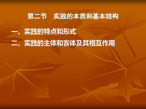 实践的本质和基本结构