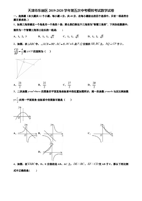 天津市东丽区2019-2020学年第五次中考模拟考试数学试卷含解析