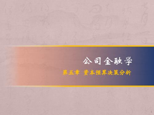公司金融第五章ppt课件