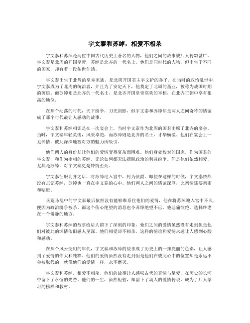 宇文泰和苏绰,相爱不相杀