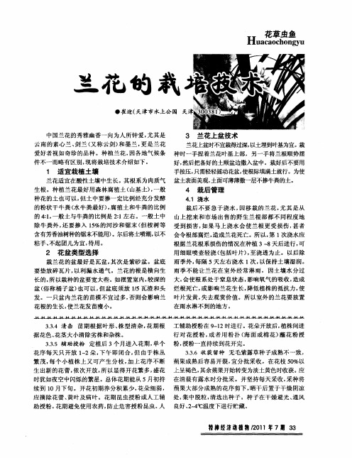 兰花的栽培技术