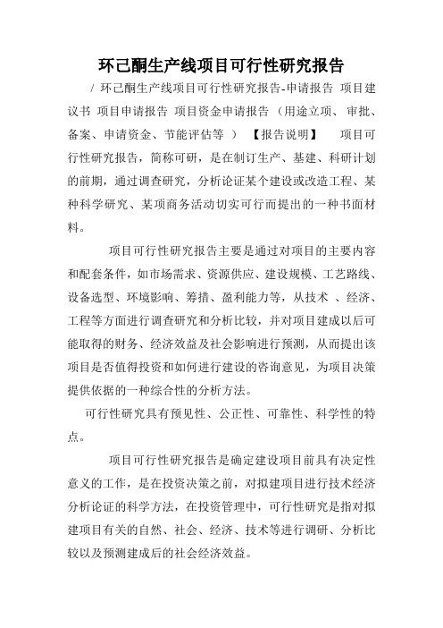 环己酮生产线项目可行性研究报告.doc