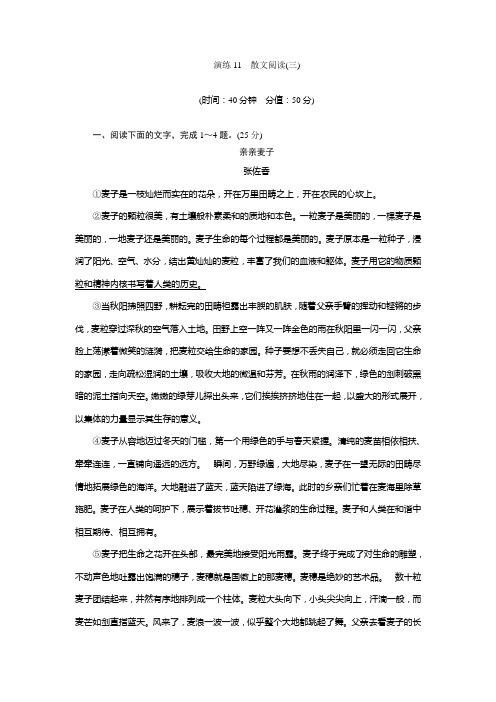 演练11 散文阅读(三)