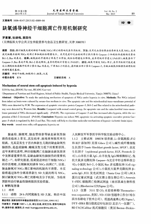 缺氧诱导神经干细胞凋亡作用机制研究