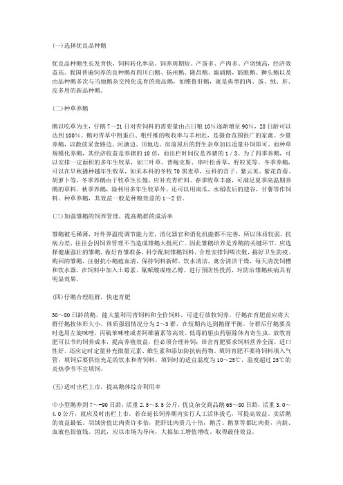 怎样提高养鹅的经济效益