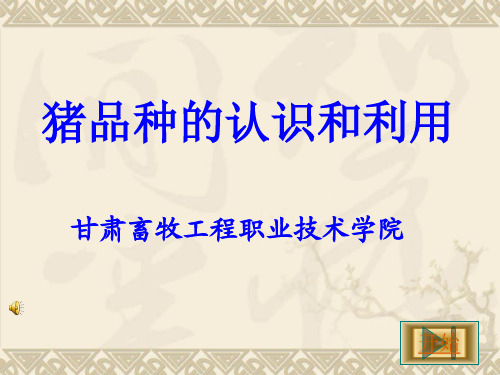 猪生产学-猪品种的认识和利用分解