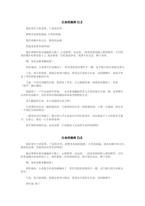 生命的绿洲作文
