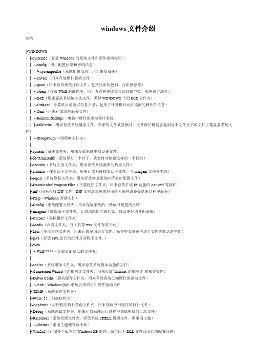 windows文件介绍