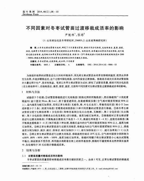 不同因素对冬枣试管苗过渡移栽成活率的影响
