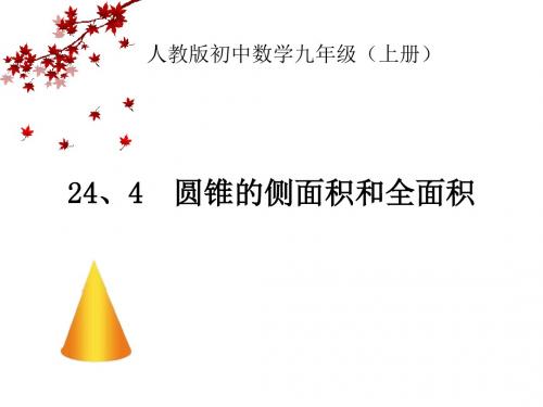 圆锥的侧面积和全面积数学课件1