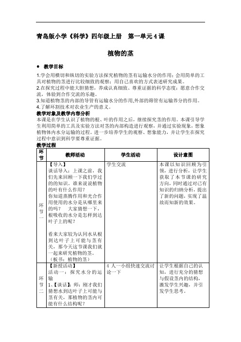 小学科学：植物的茎