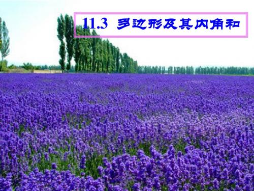 人教版八年级数学多边形及其内角和PPT
