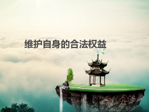 案例分析,维护自身合法权益