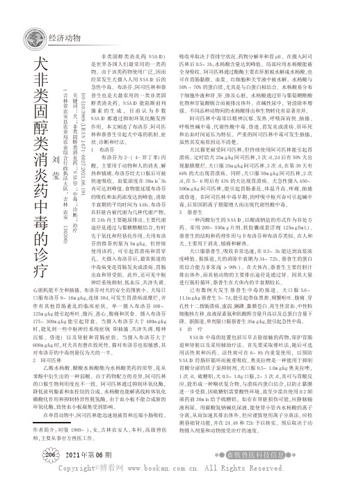 犬非类固醇类消炎药中毒的诊疗