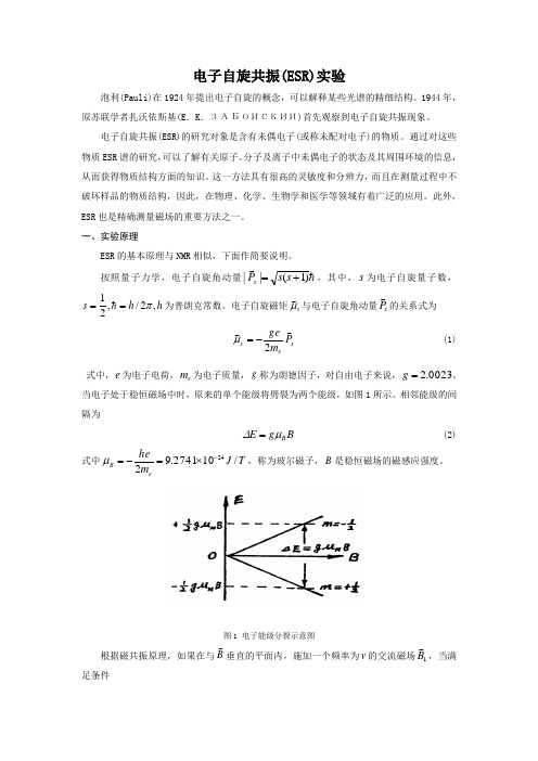 电子自旋共振ESR实验