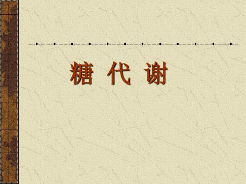 糖代谢-1