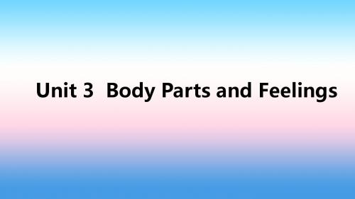 七年级英语上册 Unit 3 Body Parts and Feelings语法聚焦三讲义 冀教版-完结