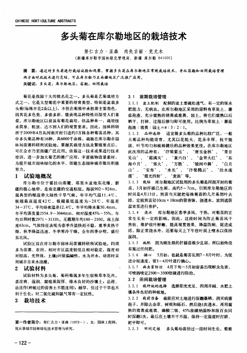 多头菊在库尔勒地区的栽培技术