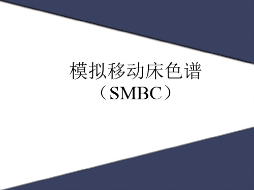 模拟移动床色谱(SMBC)..