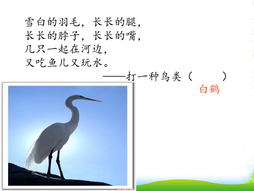 人教部编版一年级下册语文课件-语文园地八《三只白鹤》(共18张PPT)