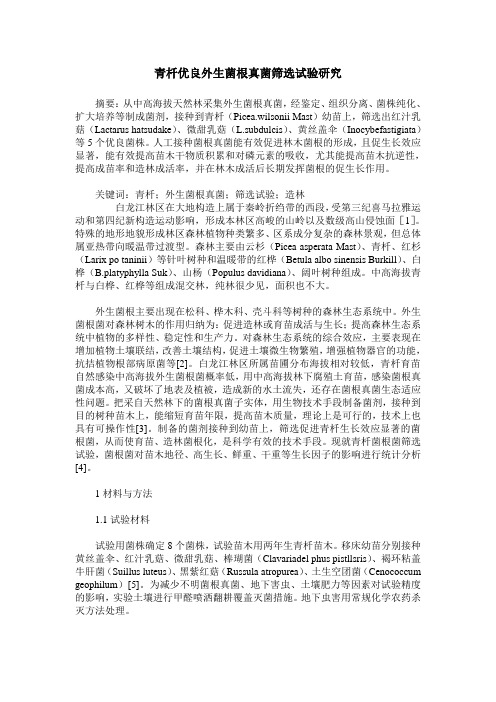 青杄优良外生菌根真菌筛选试验研究
