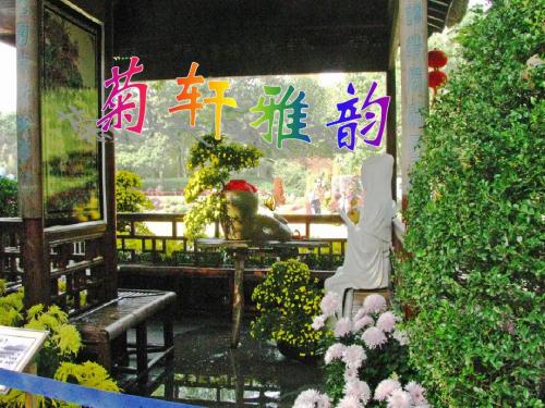 菊轩雅韵