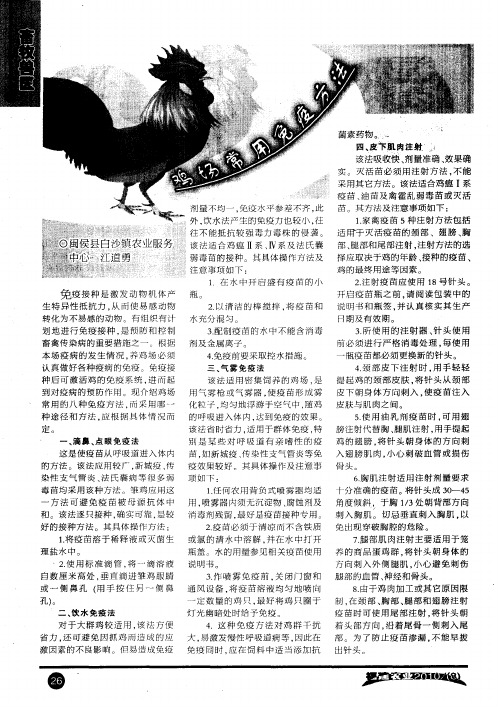 鸡场常用免疫方法