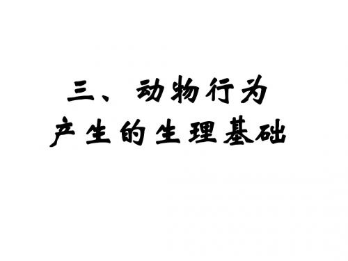动物行为产生生理基础