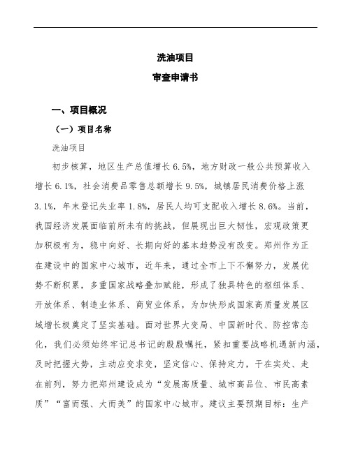 某某公司洗油项目审查申请书