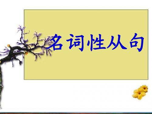 名词性从句考点复习(上课)