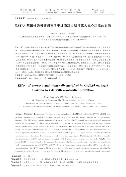 GATA4基因修饰骨髓间充质干细胞对心肌梗死大鼠心功能的影响