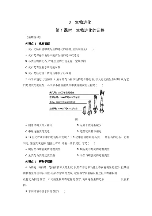2.3生物进化 第1课时 生物进化的证据同步练习 2020—2021学年华东师大版九年级科学下册