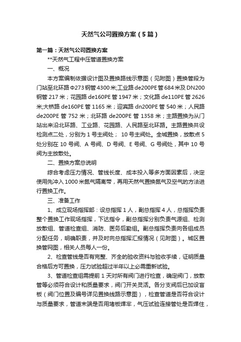 天然气公司置换方案（5篇）