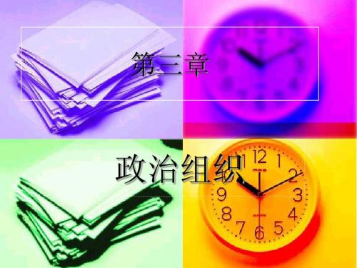 第三章政治组织(自己的课件)