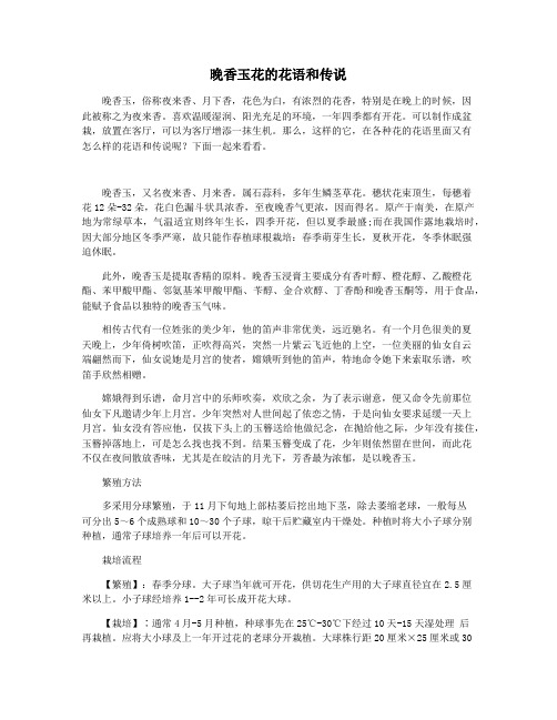 晚香玉花的花语和传说