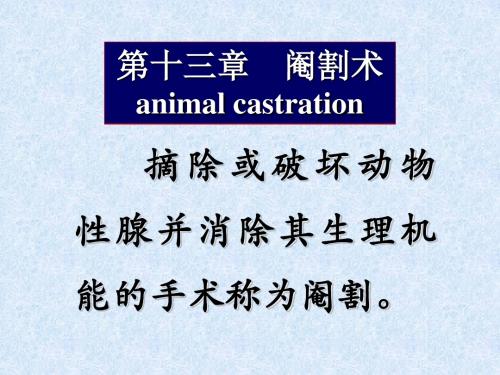 第十三章阉割术animalcastration
