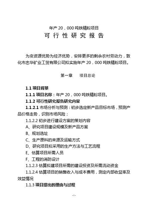 忠华矿业铁精粉项目可研