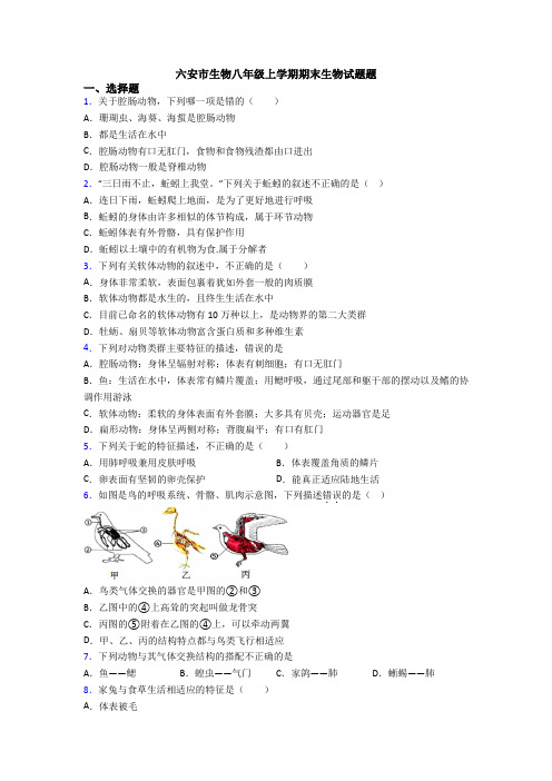 六安市生物八年级上学期期末生物试题题