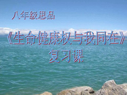 人教版思想品德八年级下册第三课复习复习