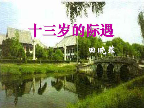 《十三岁的际遇》2精品 课件 