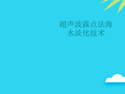 超声波露点法海水淡化技术优质PPT资料