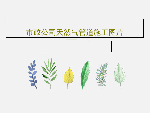 市政公司天然气管道施工图片31页PPT