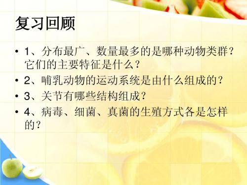 专题四 生物圈中的人---新陈代谢
