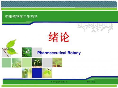 01+02药用植物学与生药学课件第一二章