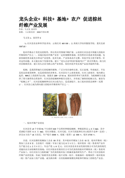 龙头企业+ 科技+ 基地+ 农户 促进棕丝纤维产业发展