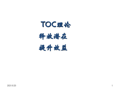 TOC 经典理论和案例